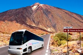 Teide Nationaal Park Toer